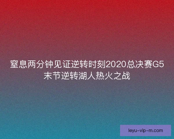 窒息两分钟见证逆转时刻2020总决赛G5末节逆转湖人热火之战